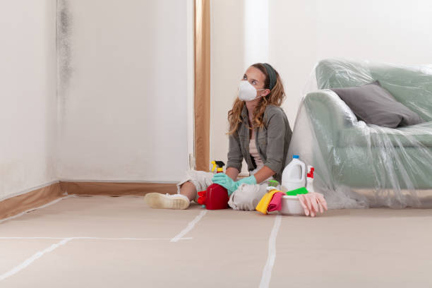 Reliable Bathroom Mold Removal contractor in Hempstead, TX by Mold Remediation HQ
